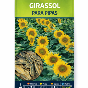 Girassol para Pipas
