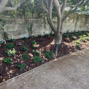 082ca0c9-b0bf-41c0-89d6-1114bf081b32