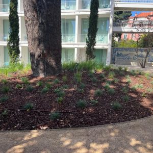 56a6cba4-dbf8-464b-8d28-3a00c64b491d