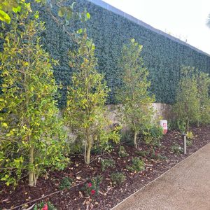 605c2abf-ac9e-4d48-bc85-9595b91f179c