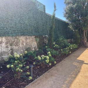 8eb038f3-880f-428f-a302-2cbfe0e2f64c