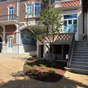 9313ccf1-c4e4-4b13-9d27-854c20026c74