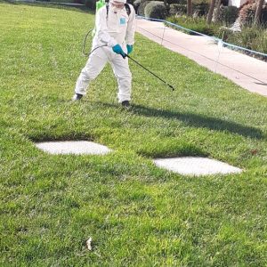 Aplicação de produtos fitofarmácos (3)