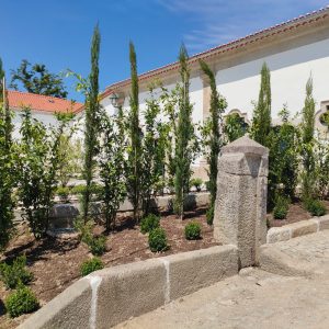 Avaliação Fitossanitária, Evaluación Fitosanitaria, Évaluation phytosanitaire, Valutazione fitosanitaria