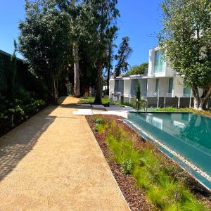 FOTO JT (16) - cópia