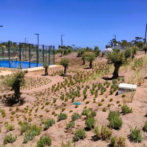 design e planeamento paisagístico, diseño y planificación paisajística, Design et planification paysagère, Progettazione e pianificazione paesaggistica