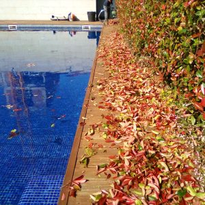 MANUTENÇÃO DURANTE - PORTO