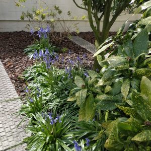 MANUTENÇÃO - PORTO