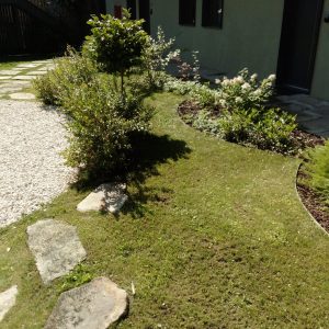 MANUTENÇÃO- RUA DO BONJARDIM PORTO