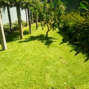 MANUTENÇÃO - RUA DO ROSARIO PORTO