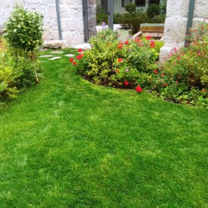 Manutenção Jardins (4)