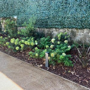 c1d1afa7-ea18-4d6f-a358-37fce6582bdf