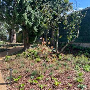 cbd27d44-d1c4-4bb9-ae7b-bf44613716ba