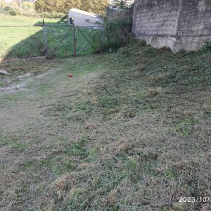 desmatação 1 depois ,