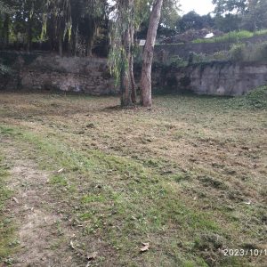 desmatação 2 depois .