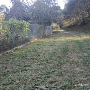 desmatação 2 depois